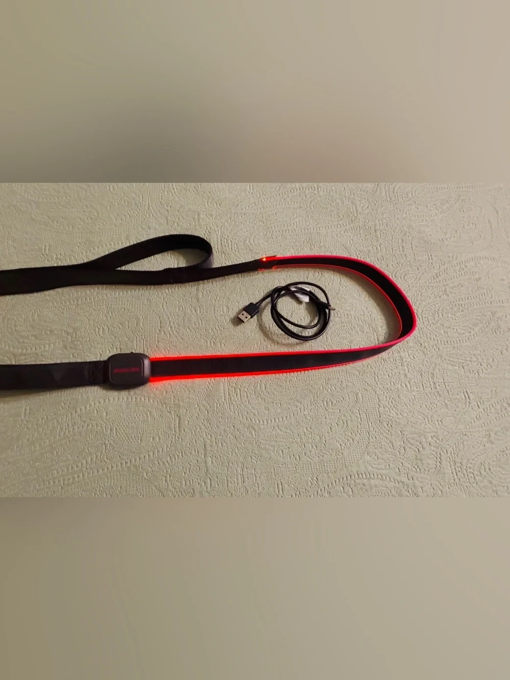 Arcadia Trail light up LED dog leash, rechargeable 3 modes, like new.